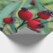 Roos hip herfst fotografie inpakpapier (Hoek)