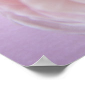 Roos hydrangelint poster (Hoek)