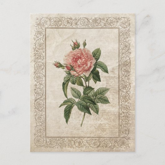  ROOS I BRIEFKAART (Voorkant)