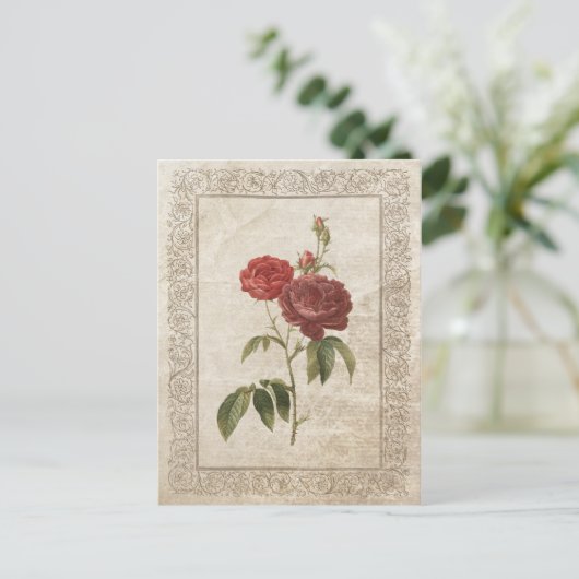 ROOS II BRIEFKAART (Staand voorkant)