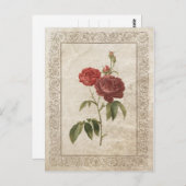 ROOS II BRIEFKAART (Voorkant / Achterkant)