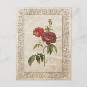  ROOS II BRIEFKAART