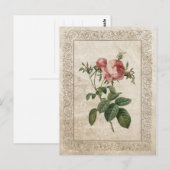  ROOS III BRIEFKAART (Voorkant / Achterkant)