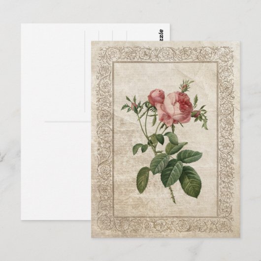  ROOS III BRIEFKAART (Voorkant / Achterkant)