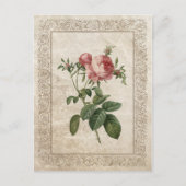  ROOS III BRIEFKAART (Voorkant)