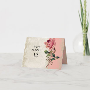 Roos in barokstijl Zalm in Cream Lace Kaart