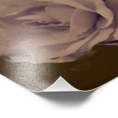 Roos in bloei met regendruppels 8x8 foto afdruk (Hoek)