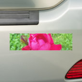 Roos in Bloom Bumpersticker (Op auto)