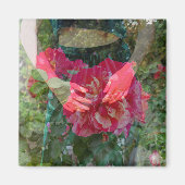 Roos in Bloom Magnet (Voorkant)