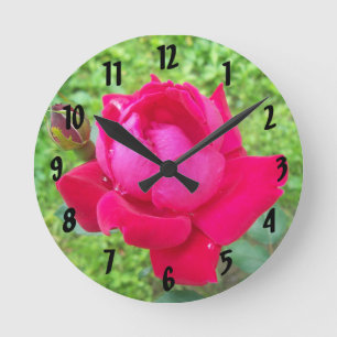 Roos in Bloom Ronde Klok