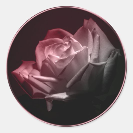 Roos in Bloom Wedding Invitation Envelope Seal Ronde Sticker (Voorkant)