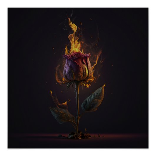 roos in brand perfect poster (Voorkant)