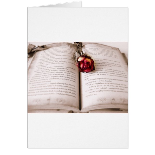 Roos in de Bijbel (Voorkant)