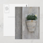 roos in de stad briefkaart (Voorkant / Achterkant)