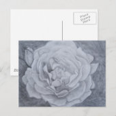 Roos in grafiet briefkaart (Voorkant / Achterkant)