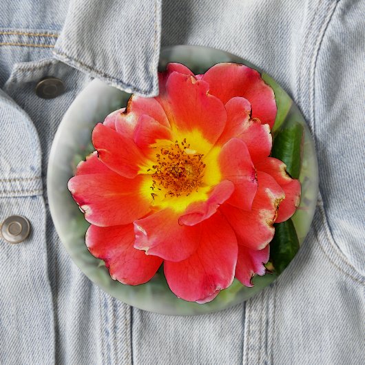 Roos in het najaar ronde button 6,0 cm (In situ)