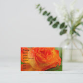 Roos in mijn tuin visitekaartje (Staand voorkant)
