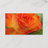 Roos in mijn tuin visitekaartje (Achterkant)