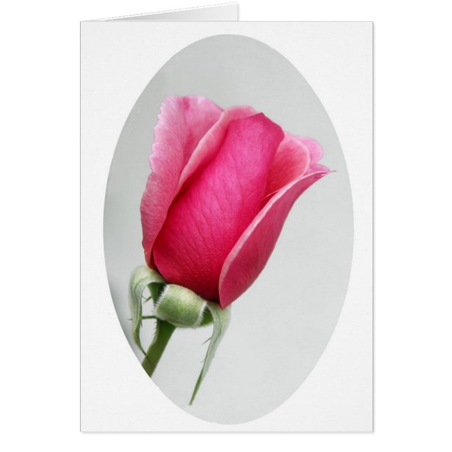 Roos in Oval (Voorkant)