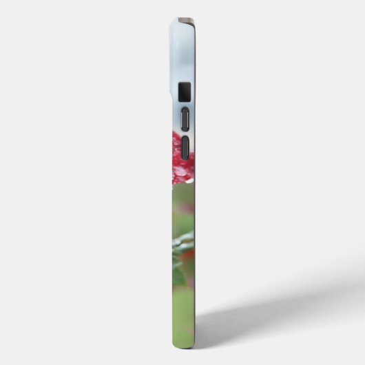 Roos in regendruppels Case-Mate iPhone case (Achterkant / Links)