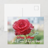 Roos in regendruppels feestdagenkaart (Voorkant / Achterkant)