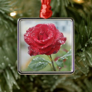 Roos in regendruppels metalen ornament