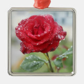 Roos in regendruppels metalen ornament (Voorkant)