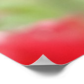 Roos in regendruppels poster (Hoek)