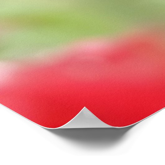 Roos in regendruppels poster (Hoek)