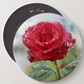 Roos in regendruppels ronde button 6,0 cm (Voorkant /achterkant)