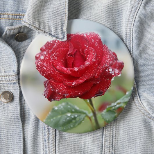 Roos in regendruppels ronde button 6,0 cm (In situ)