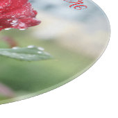 Roos in regendruppels snijplank (Hoek)