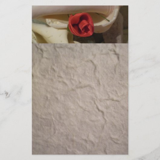 Roos in Zee Shell Briefpapier (Voorkant)