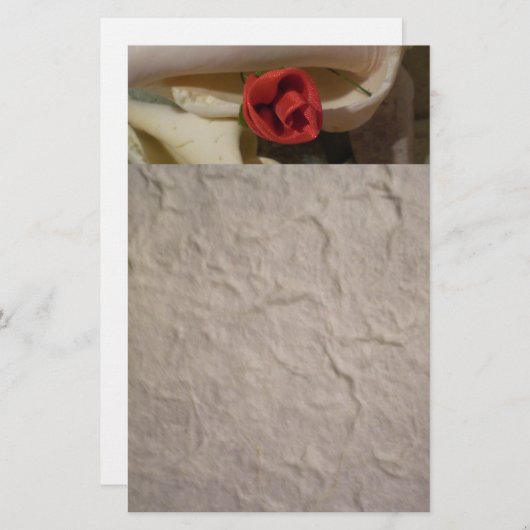 Roos in Zee Shell Briefpapier (Voorkant / Achterkant)