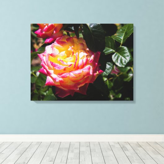 Roos in zonlicht canvas afdruk (Insitu (Houten vloer))