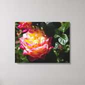 Roos in zonlicht canvas afdruk (Voorkant)