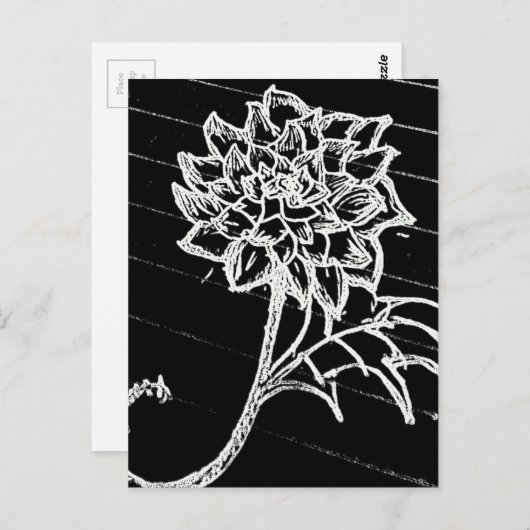 Roos in zwart briefkaart (Voorkant / Achterkant)