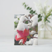 Roos januari 2012 Briefkaart (Staand voorkant)