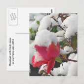 Roos januari 2012 Briefkaart (Voorkant / Achterkant)