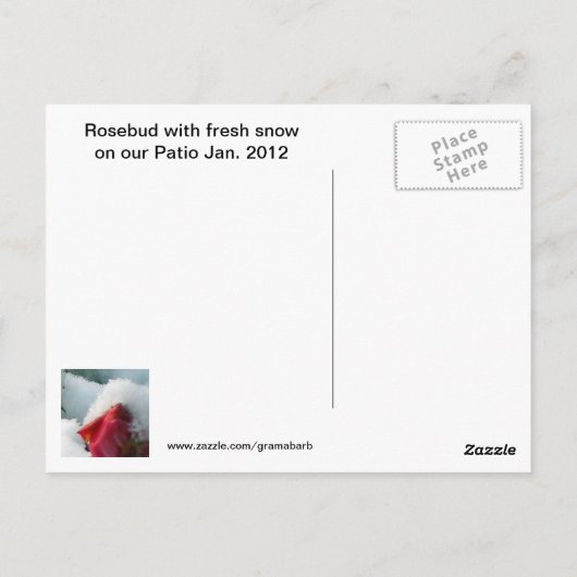 Roos januari 2012 Briefkaart (Achterkant)