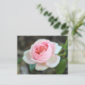 Roos "Joie de Vivre", Roath Park, Cardiff Briefkaart (Staand voorkant)