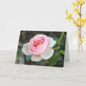 Roos "Joie de Vivre", Roath Park, Cardiff Kaart (Gele Bloem)