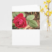 Roos, Kaart (Gele Bloem)