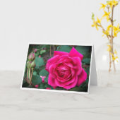 Roos, kaart (Gele Bloem)