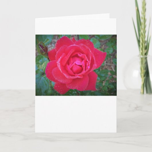 Roos, kaart (Voorkant)