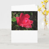 Roos, kaart (Gele Bloem)