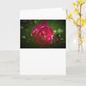 Roos, kaart (Gele Bloem)