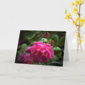 Roos, kaart (Gele Bloem)