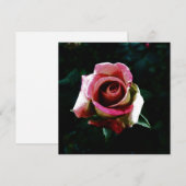 roos kaart (Voorkant / Achterkant)