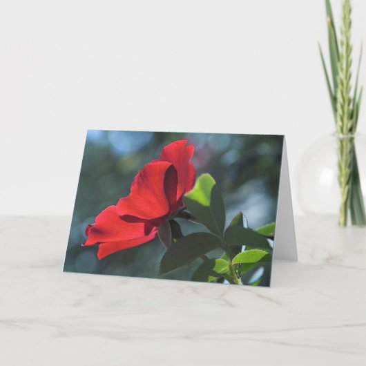 Roos-kaart Kaart (Voorkant)